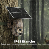 Caméra de Chasse 4G LTE Solaire sans Fil 360° 2K HD pour Surveillance, Sécurité et Chasse