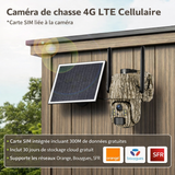 Caméra de Chasse 4G LTE Solaire sans Fil 360° 2K HD pour Surveillance, Sécurité et Chasse