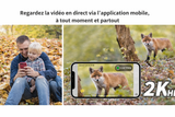 Caméra de Chasse 4G LTE Solaire sans Fil 360° 2K HD pour Surveillance, Sécurité et Chasse