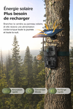 Caméra de Chasse 4G Solaire 3MP HD avec GPS, Vision Nocturne, Suivi à Distance