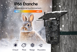Caméra de Chasse 4G Solaire 3MP HD avec GPS, Vision Nocturne, Suivi à Distance