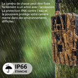 Caméra de Chasse 8K 60MP avec Vision Nocturne Infrarouge Étanche IP66 Extérieur