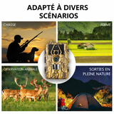 Caméra de Chasse 8K 60MP avec Vision Nocturne Infrarouge Étanche IP66 Extérieur