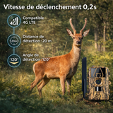 Caméra de Chasse 8K 60MP avec Vision Nocturne Infrarouge Étanche IP66 Extérieur