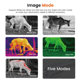 Monoculaire Thermique Zoom 8X Capteur 256x192, 60Hz OLED HD 1,43" Super-Résolution IA
